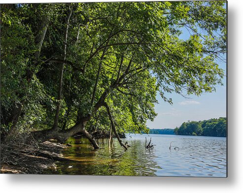 River Metal Print featuring the photograph Pee Dee by Jimmy McDonald