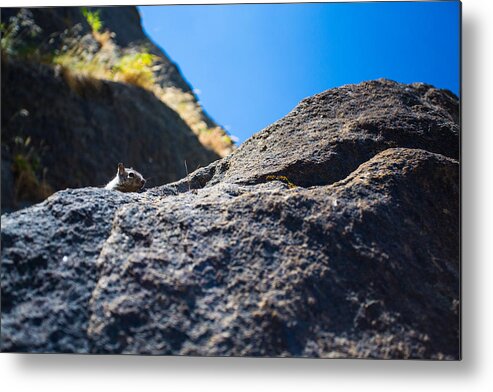 Yosemite Metal Print featuring the photograph Peekaboo by Mike Lee