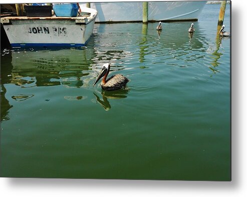 Outer Banks North Carolina Obx Pelicans Harbor Boat Pamlico Sound Metal Print featuring the photograph Pelican John 3/16 Boat by Mark Lemmon