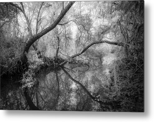 B&w Metal Print featuring the photograph Penasquitos Creek by Alexander Kunz