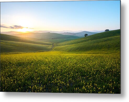 Scenics Metal Print featuring the photograph Perfect field of spring grass,Tuscany,Italy by Photograph by Nattachai Sesaud