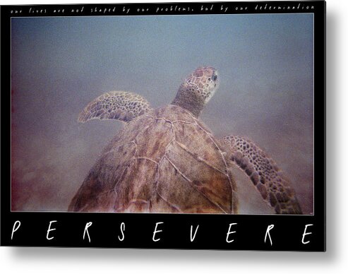 Turtle Metal Print featuring the photograph Persevere II by Weston Westmoreland