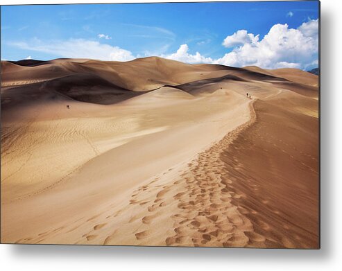 Alamosa County Metal Print featuring the photograph Persistence by Nancy Rose