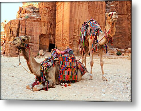 Ancient Metal Print featuring the photograph Petra Camels by Stephen Stookey