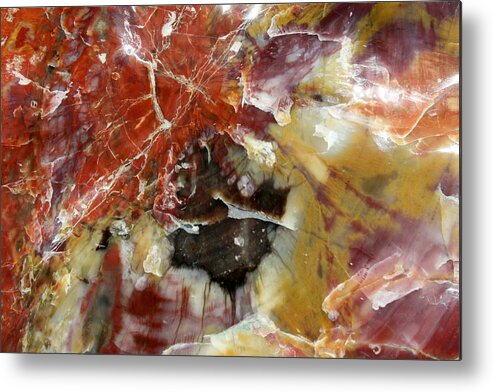 Landscapes Metal Print featuring the photograph Petrified Wood by Douglas Miller