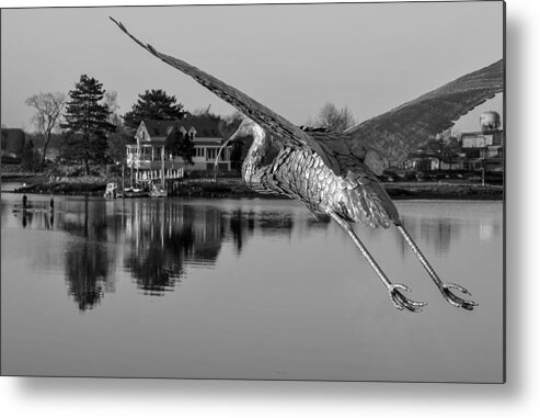 Acrylic Print Metal Print featuring the photograph Pewter Great Blue Heron by Thomas Lavoie