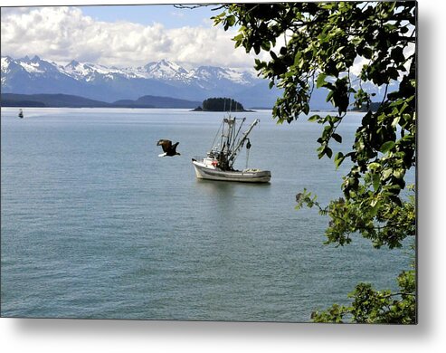 Eagle Metal Print featuring the photograph Photo Bomb by Cathy Mahnke