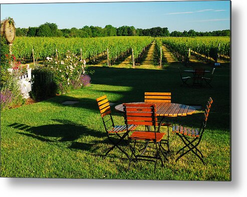 Bidell Metal Print featuring the photograph Picnic in the Vineyard by James Kirkikis