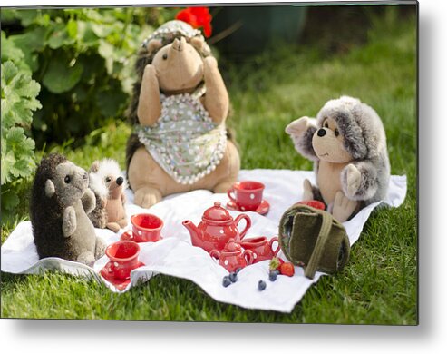 Mrs. Hedgie Metal Print featuring the photograph Picnic Tales by Spikey Mouse Photography