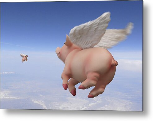 Pigs Fly Metal Print featuring the photograph Pigs Fly 2 by Mike McGlothlen