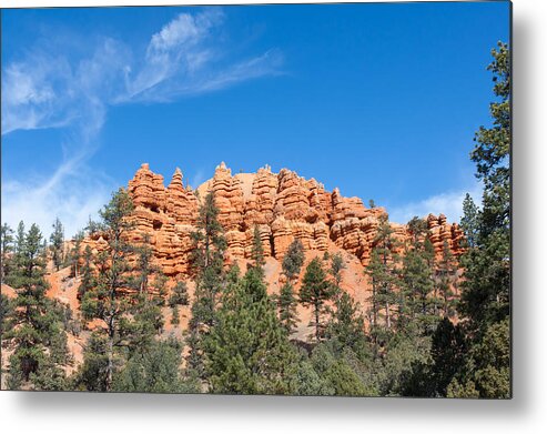 Landscape Metal Print featuring the photograph Pillars and Ridges at Red Canyon by John M Bailey