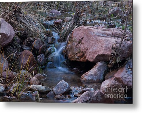 Autumn Metal Print featuring the photograph Pine Creek by Fred Stearns