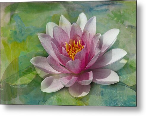 Pink Metal Print featuring the photograph Pink Water Lily by Rebecca Cozart