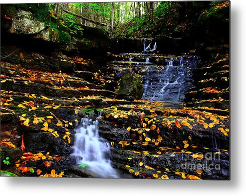 Water Metal Print featuring the photograph Pipestem Beauty by Melissa Petrey