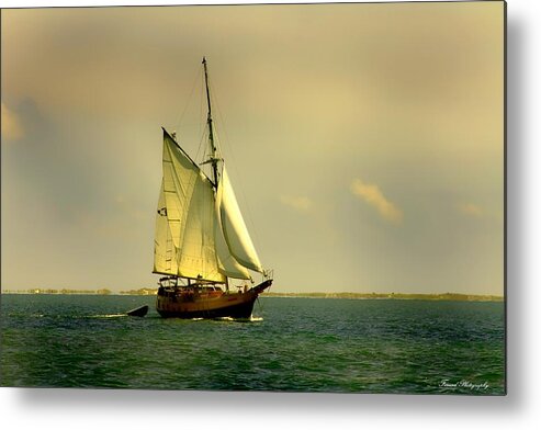 Ship Metal Print featuring the photograph Pirate Ship by Debra Forand