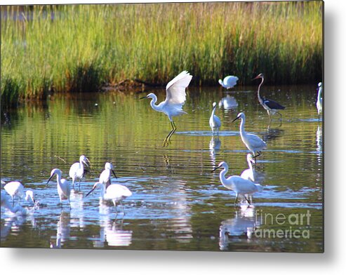 Egret Metal Print featuring the photograph Playful Egret by Andre Turner