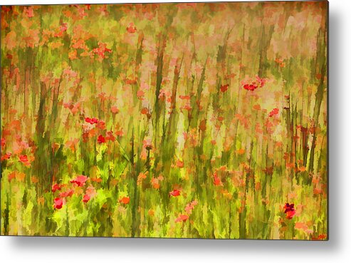 Flowers Meadow Metal Print featuring the painting Poppies of Tuscany II by David Letts