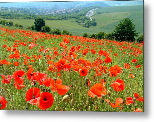 Poppy Metal Print featuring the photograph Poppy Field by John Topman