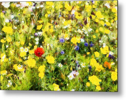 Poppy Metal Print featuring the photograph Poppy in wildflowers by Nigel R Bell