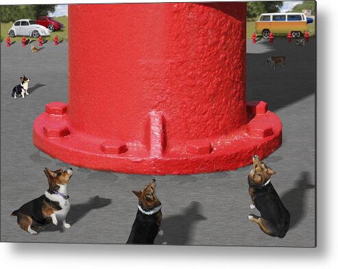Corgis Metal Print featuring the photograph Postcards from Otis - The Hydrant by Mike McGlothlen