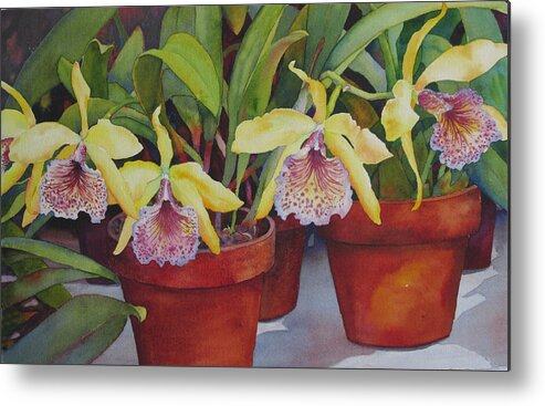 Floral Metal Print featuring the painting Potted Orchids by Judy Mercer
