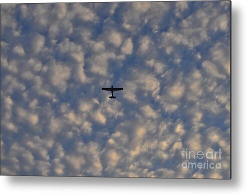 Private Metal Print featuring the photograph Private Sky View by Bridgette Gomes