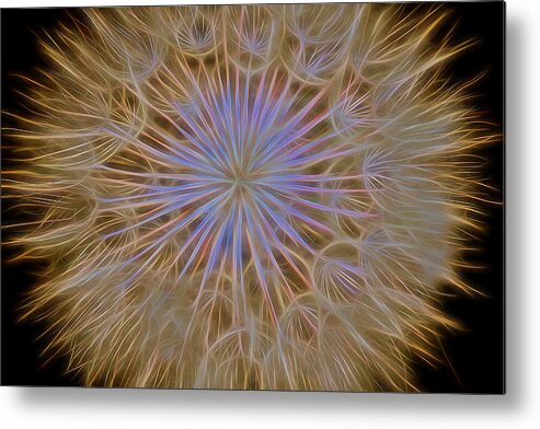 Dandelion Metal Print featuring the photograph Psychedelic Dandelion Art by James BO Insogna