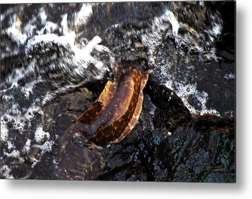 Hawaii Metal Print featuring the photograph Puhi'ula the giant red eel by Lehua Pekelo-Stearns