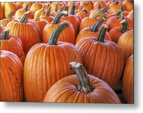 Pumpkin Metal Print featuring the photograph Pumpkins Galore - Autumn - Halloween by Jason Politte