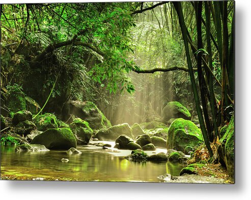 Scenics Metal Print featuring the photograph Pure Light by Taiwan Nans0410