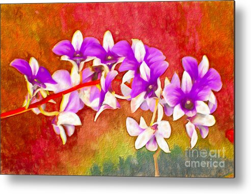 Orchid Metal Print featuring the digital art Purple and Red by Ken Frischkorn