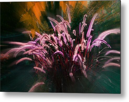 Purple Metal Print featuring the photograph Purple Fountain Grass Fantasy by Mick Anderson