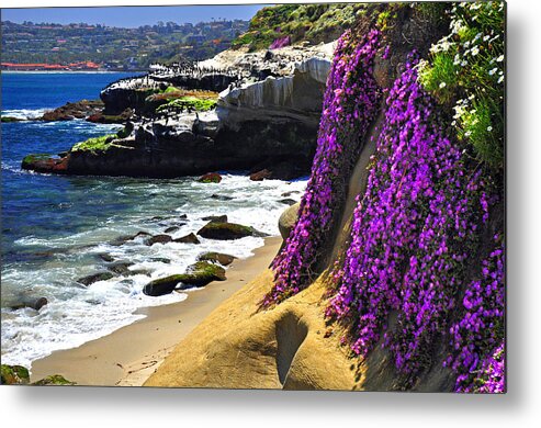 Bay Metal Print featuring the photograph Purple Glory at La Jolla Cove by John Hoffman