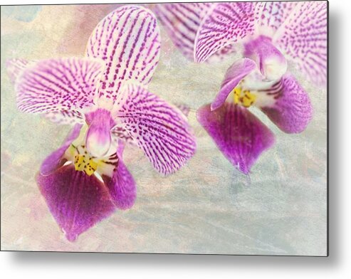 Orchid Metal Print featuring the photograph Purple orchid 2 by Rudy Umans