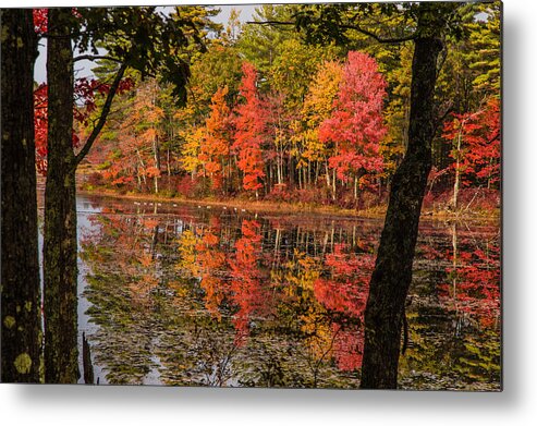 #foliage_reports Metal Print featuring the photograph Quabbin reservoir fall foliage by Jeff Folger