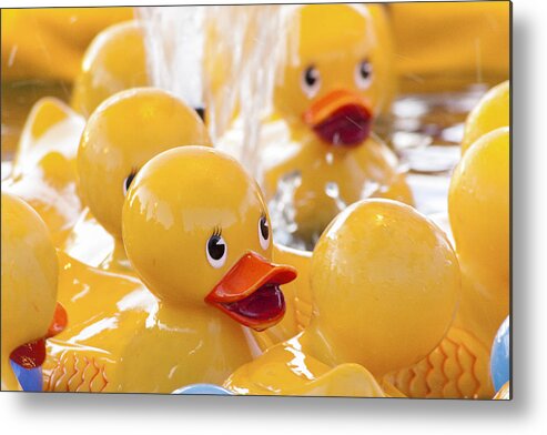 Rubber Ducky Metal Print featuring the photograph Quackers by Caitlyn Grasso