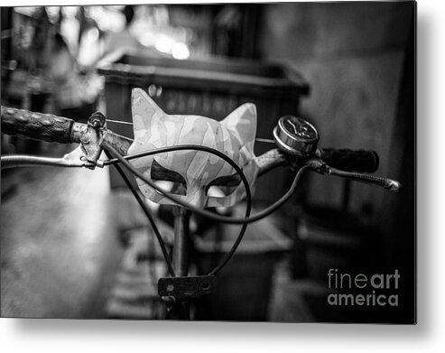 Cat Metal Print featuring the photograph Quick to the Catmobile by Dean Harte