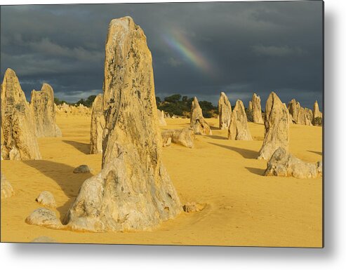 531565 Metal Print featuring the photograph Rainbow And Limestone Pinnacles Nambung by Kevin Schafer