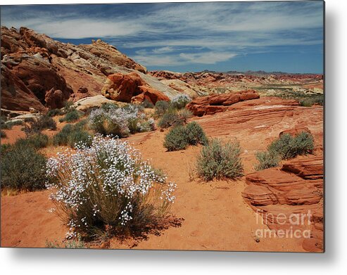 Canyons Metal Print featuring the photograph 601P Rainbow Vista in the Valley of Fire by NightVisions