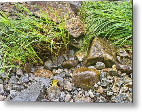 Rock Metal Print featuring the photograph Raindrops on the Riverbank Photo by Peter J Sucy
