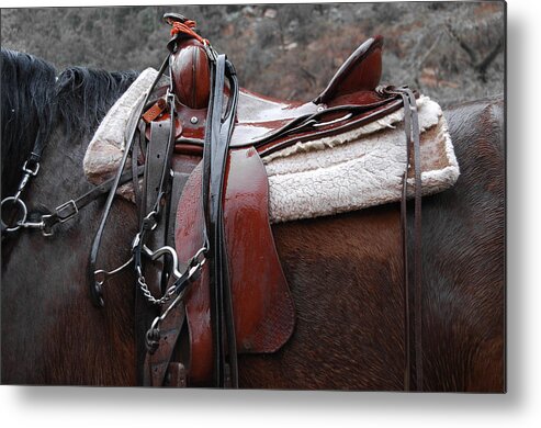 Horse Art Metal Print featuring the photograph Rained Out by Jani Freimann