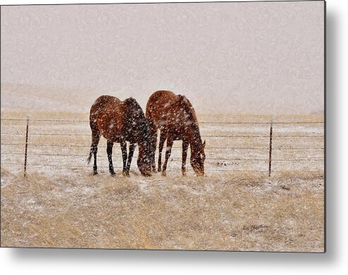 Brown Horses Metal Print featuring the photograph Ranch Horses in Snow by Kae Cheatham