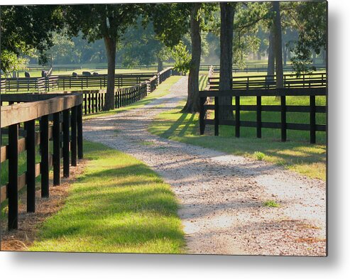 Texas Ranch Metal Print featuring the photograph Ranch Road in Texas by Connie Fox