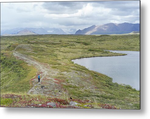 Usa Metal Print featuring the photograph Rear View Of Female Hiking by The Open Road Images