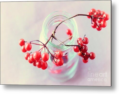 Winter Metal Print featuring the photograph Red and Pink by Sabine Jacobs