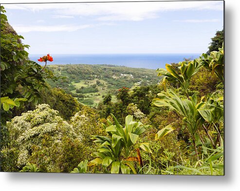 Maui Metal Print featuring the photograph Red Bloom Overlooking Maui by Laura Tucker