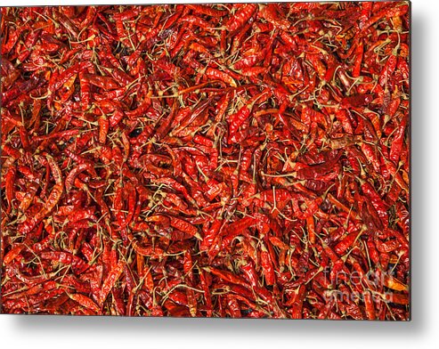 Chilli Metal Print featuring the photograph Red Hot Chillies by Gina Koch