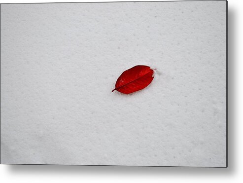 Red Leaf Metal Print featuring the photograph Red Leaf Snow by Brooke Friendly