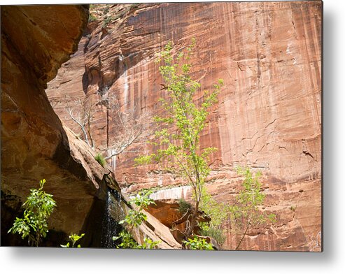 Zion National Park Metal Print featuring the photograph Red Rock with Waterfall by Natalie Rotman Cote