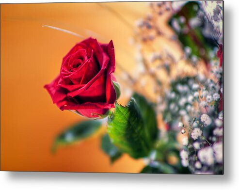 Red Rose Metal Print featuring the photograph Red Rose of Love by EXparte SE